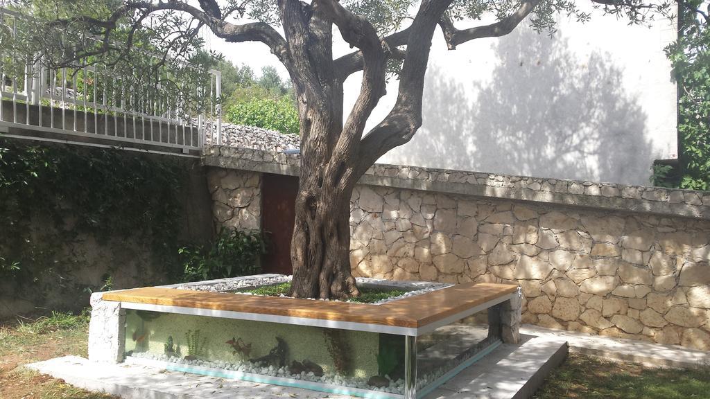 Apartment Golubica 2 Marina Phòng bức ảnh